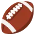 🏈