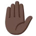 ✋🏿